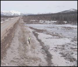 Alone across Siberia.jpg